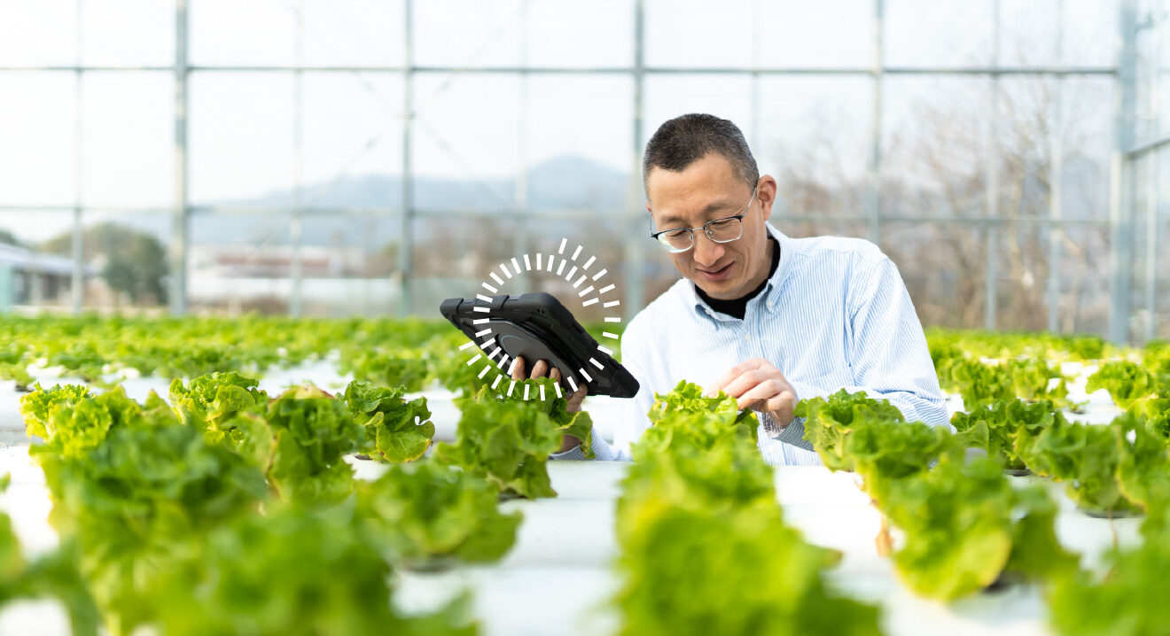 a man in a garden inspecting lettuce holding a tablet